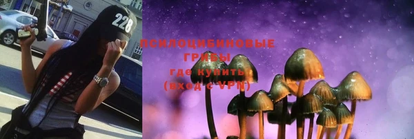 амф Зеленокумск
