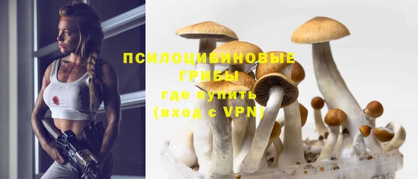 эйфоретик Валдай