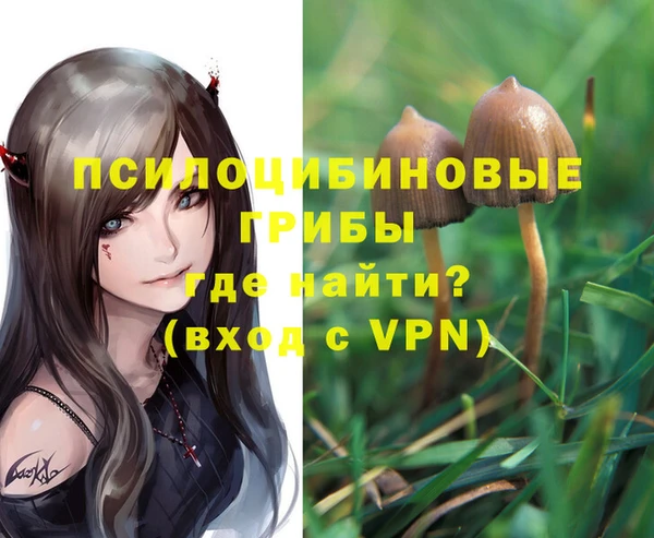амф Зеленокумск