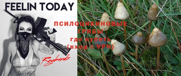 хмурый Зерноград