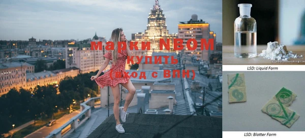 амф Зеленокумск