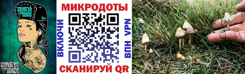Псилоцибиновые грибы Psilocybe  Камешково 
